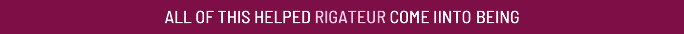 Go to the Rigateur website
