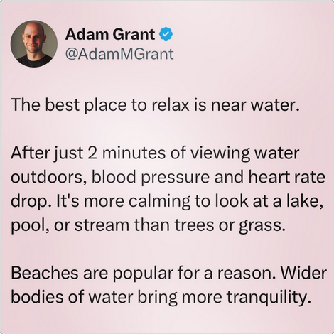 Adam Grant quote Adam Grant quote